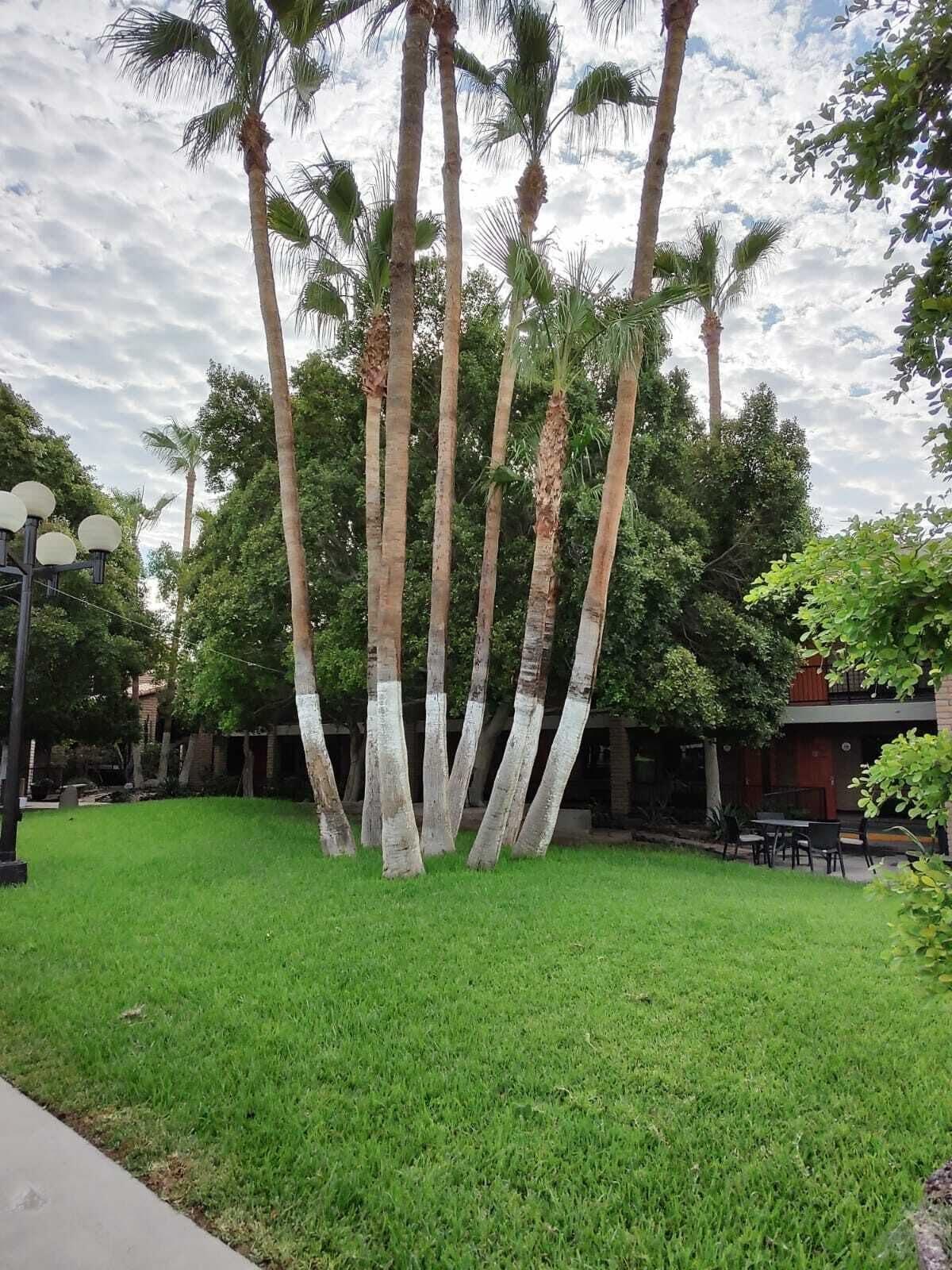 Hotel Colonial Mexicali Eksteriør billede